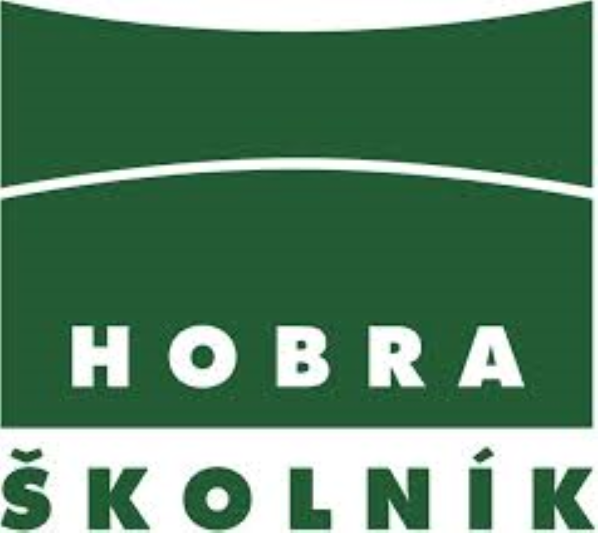 Hobra Skolnik