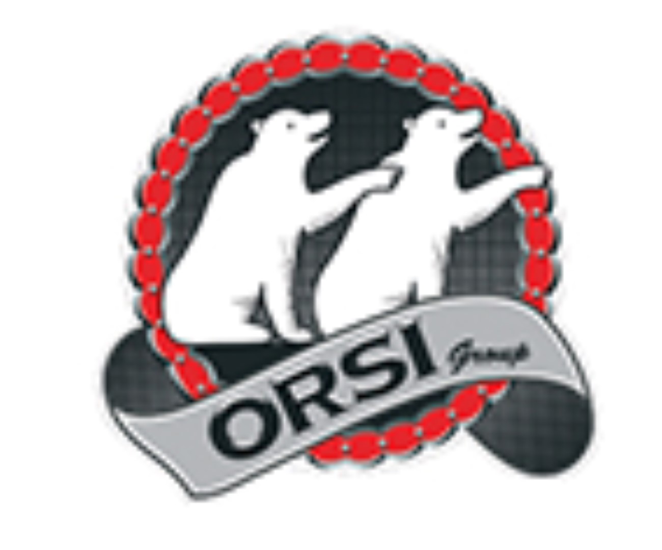 Orsi